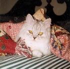 don't hate me because i'm beautiful...
